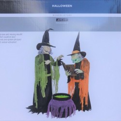 Animated Witches and Cauldron Halloween Prop 5' Indoor/Outdoor New