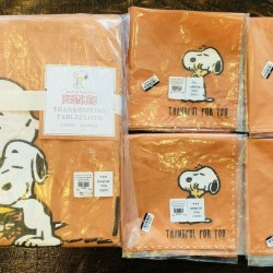 Pottery Barn Kids Peanuts Thanksgiving Tablecloth 4 Napkins Set New Decor Snoopy