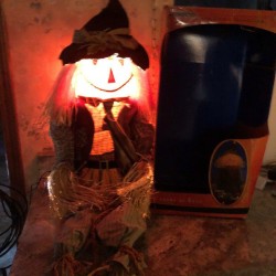 54” Fiber Optic Scarecrow Pumpkin Witch Hat JOL Fall Hay Halloween Trendmasters