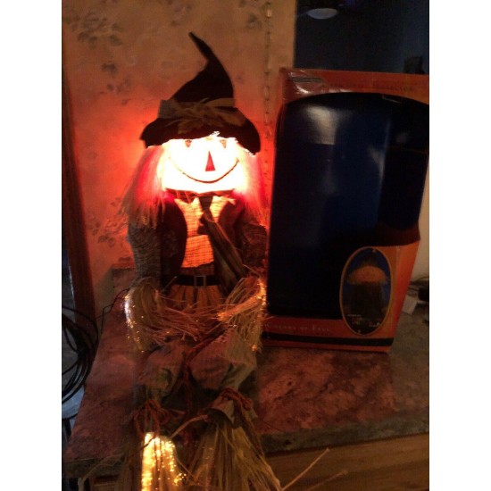 54” Fiber Optic Scarecrow Pumpkin Witch Hat JOL Fall Hay Halloween Trendmasters