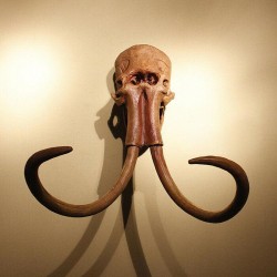 Mammoth 1:1 Skull Model Wall Hanging Wall-Mounted Sculpture Decor Fossil Replica