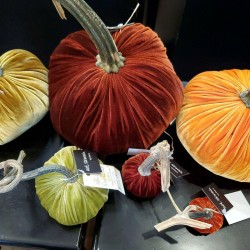 NWT Lot 6 Hot Skwash Velvet Pumpkins Halloween Thanksgiving holiday