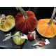 NWT Lot 6 Hot Skwash Velvet Pumpkins Halloween Thanksgiving holiday