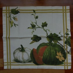 Williams Sonoma Botanical Pumpkin Napkins Fall Autumn Thanksgiving Linens Set 11