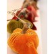 14” Bittersweet Original Velvet Plush Pumpkin Autumn Harvest Halloween Thanksgiv