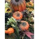 Fall Arrangement, Fall Centerpiece, Artificial Fall Arrangement, Fall Cornucopia