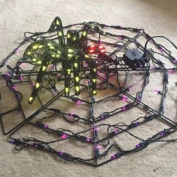 Pumpkin Hollow 31” Animated Multi Motion Lighted Spider On Web Halloween Decor