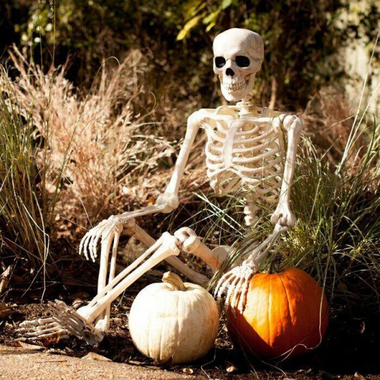 Posable Skeleton Outdoor Halloween Indoor Holiday Decor Prop Skull Scary Large