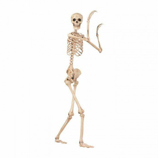 Posable Skeleton Outdoor Halloween Indoor Holiday Decor Prop Skull Scary Large