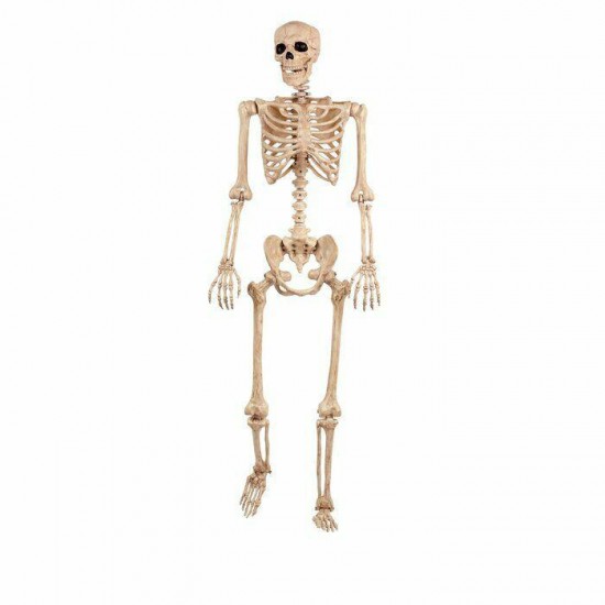 Posable Skeleton Outdoor Halloween Indoor Holiday Decor Prop Skull Scary Large