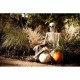 Posable Skeleton Outdoor Halloween Indoor Holiday Decor Prop Skull Scary Large