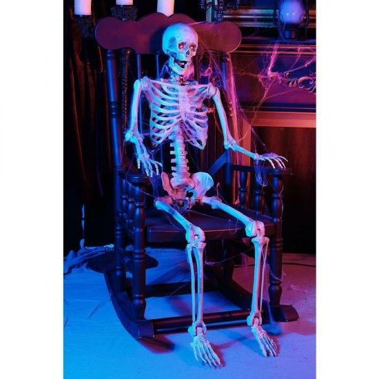 5349-60272HD Poseable Skeleton Prop - 5ft.