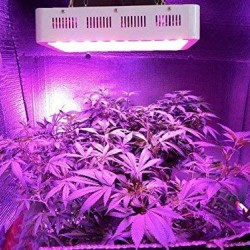 Complete Indoor Greenhouse LED Hydroponics Grow Kit / WiFi Camera