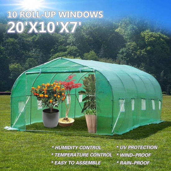 Unik Always 20feet x 10feet x 7feet Walk-in Green House Steeple Larger Greenhouse Gardening Plant Outdoor