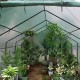 YQ WHJB Portable Garden Green House Cover,Compact Walk in Plastic PE Greenhouse Greenhouse Grow Hosuse Frame with Removable Waterproof PE Cover