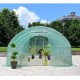 Unik Aways 20 feet Long 8 Window Walk in Greenhouse Garden Plant Grow Tent Steel Frame PE Cover