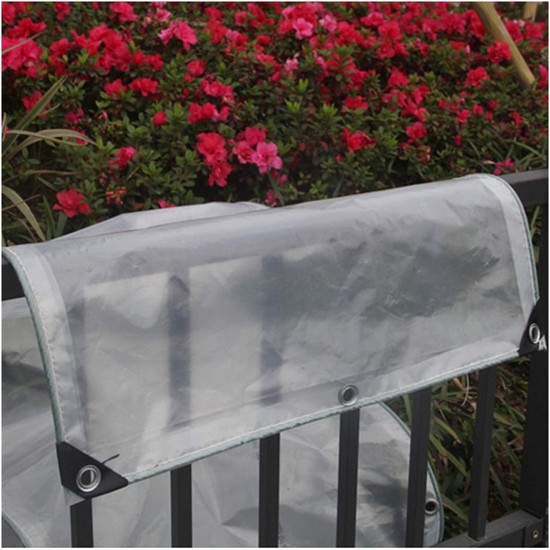 FQJYNLY Clear Tarpaulin Waterproof Plastic Tarp Sheet for Gardening Camping Traveling Ground Covers，Thickness 0.3MM，Customization Sizes (Color : Clear, Size : 4.0X5.0M)