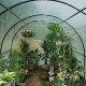 YQ WHJB Greenhouse with Steel Frame and Steel Frame Door,Plastic Portable Garden Greenhouses for Indoor Outdoor