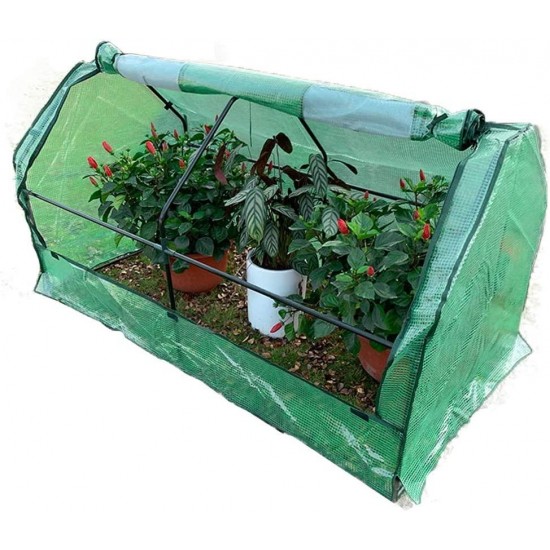 Outdoor Garden Greenhouse, PE Cover and Roll-Up Zipper Door Cloche Gardening Green House, for Vegetable Plant, 70.86