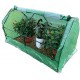 Outdoor Garden Greenhouse, PE Cover and Roll-Up Zipper Door Cloche Gardening Green House, for Vegetable Plant, 70.86