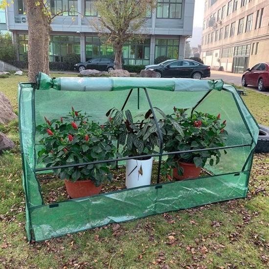 Outdoor Garden Greenhouse, PE Cover and Roll-Up Zipper Door Cloche Gardening Green House, for Vegetable Plant, 70.86