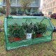 Outdoor Garden Greenhouse, PE Cover and Roll-Up Zipper Door Cloche Gardening Green House, for Vegetable Plant, 70.86