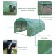 YFYTYG-PX Portable Plant Gardening Greenhouse, 20′X10′X7′ Walk-in Greenhouse Indoor Outdoor Heavy Duty Greenhouse Plant Gardening Spiked Greenhouse Tent