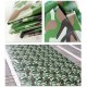 JFFFFWI Tarpaulin, Green Camouflage Waterproof Tarpaulin Ground Sheet s for Camping, Fishing, Gardening Car Boat Camping Firewood Woodpile-450g/㎡ Tarpaulin (Size : 3x5m)